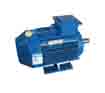 Vacuum Packager